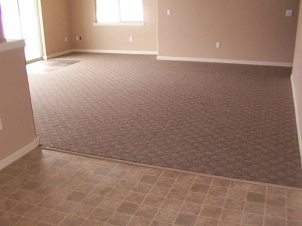 Family room vinyl and carpet